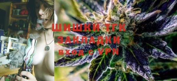 индика Навашино
